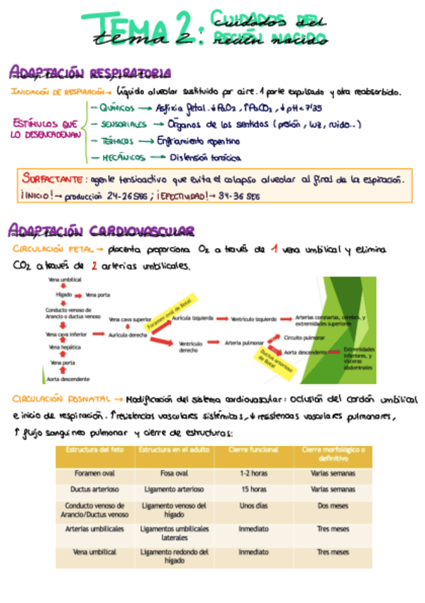 Miniatura del documento RESUMEN-TEMA-2-INFANCIA.pdf