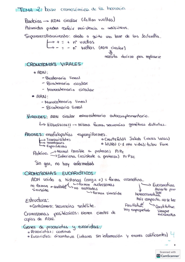 Miniatura del documento Tema-2-genetica.pdf