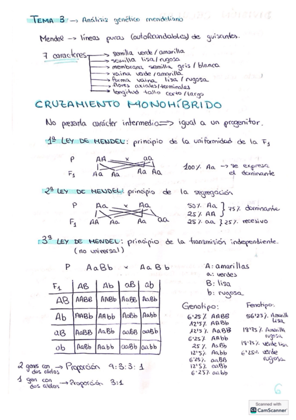 Miniatura del documento Tema-3-genetica.pdf