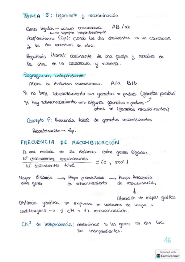 Miniatura del documento Tema-5-genetica.pdf