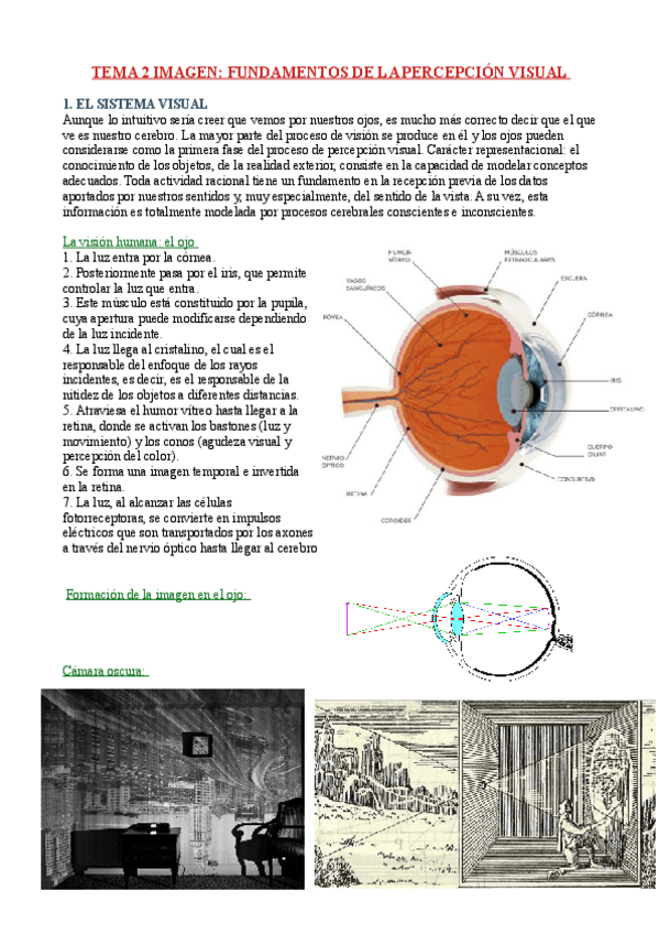 Miniatura del documento TEMA-2-TEORIA-DE-LA-IMAGEN.pdf