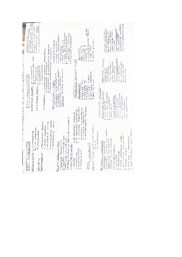 Miniatura del documento Resum-gramatica-valen.pdf