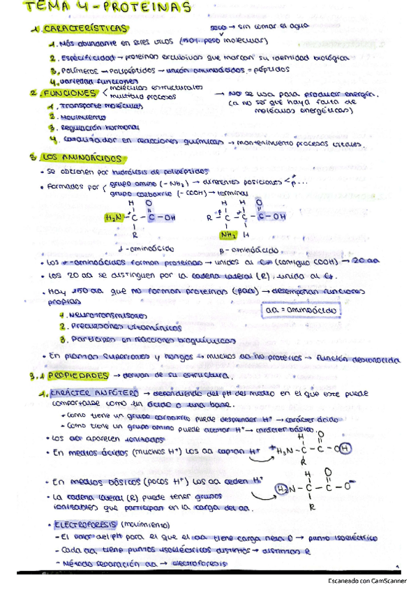 Miniatura del documento PROTEINAS.pdf