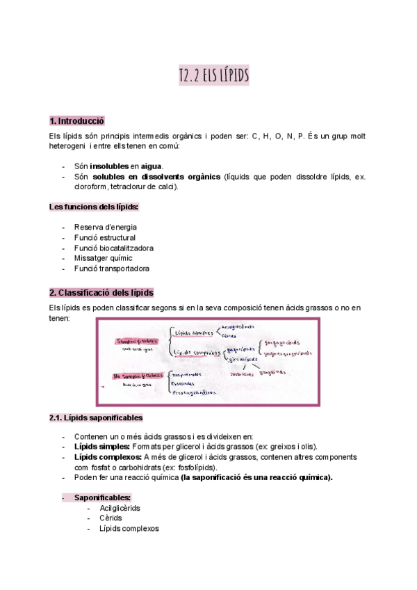 Miniatura del documento Lipids.pdf