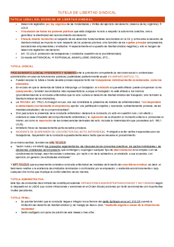 Miniatura del documento T.2.3-Tutela-de-libertad-sindical.pdf