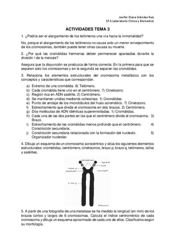Miniatura del documento ACTIVIDADES-DEL-LIBRO-ALTAMAR-TEMA-3.pdf