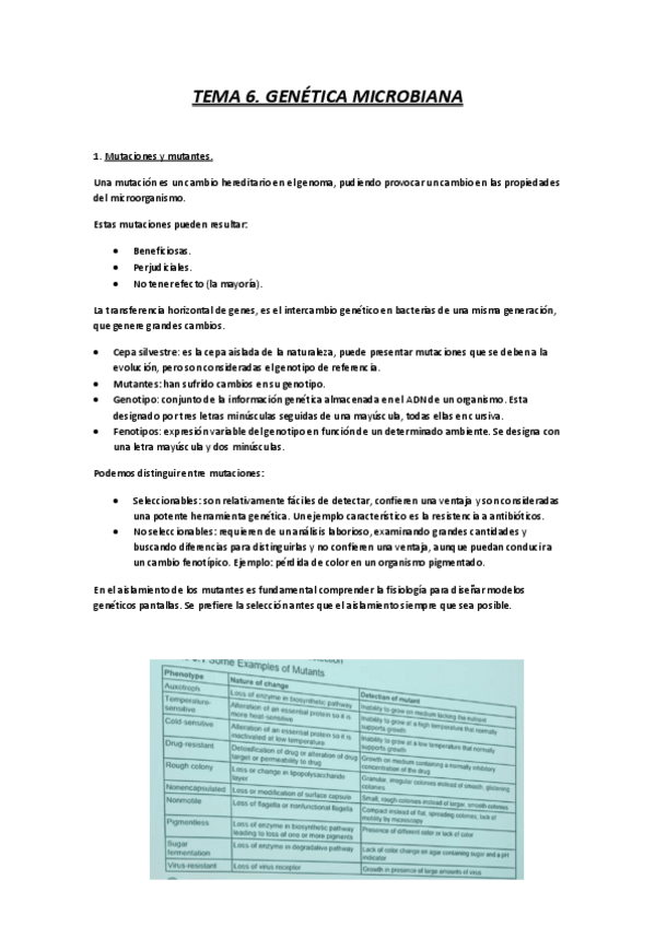 Miniatura del documento Apuntes-Tema-6.pdf