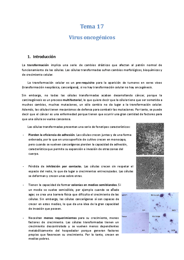 Miniatura del documento Tema-17-Virus-oncogenicos.docx.pdf