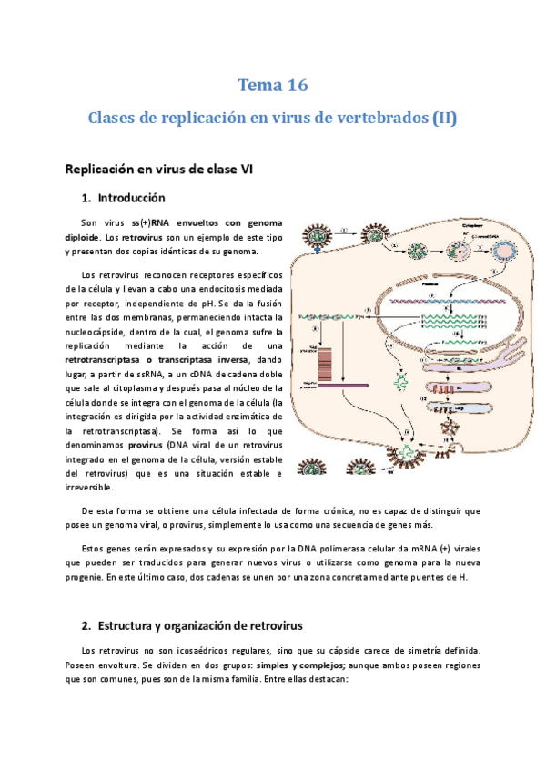 Miniatura del documento Tema-16-Clases-de-replicacion-en-virus-de-vertebrados-II.docx.pdf
