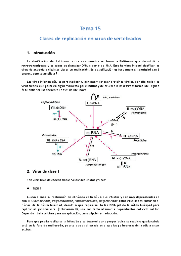 Miniatura del documento Tema-15-Viro.pdf