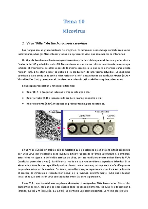 Miniatura del documento Tema-10-Micovirus.docx.pdf