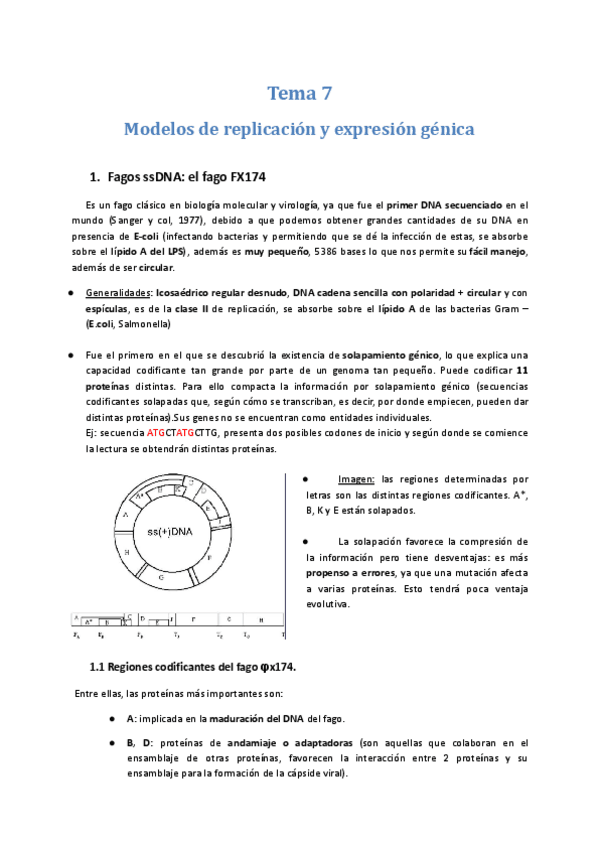 Miniatura del documento Tema-7-Virologia.pdf