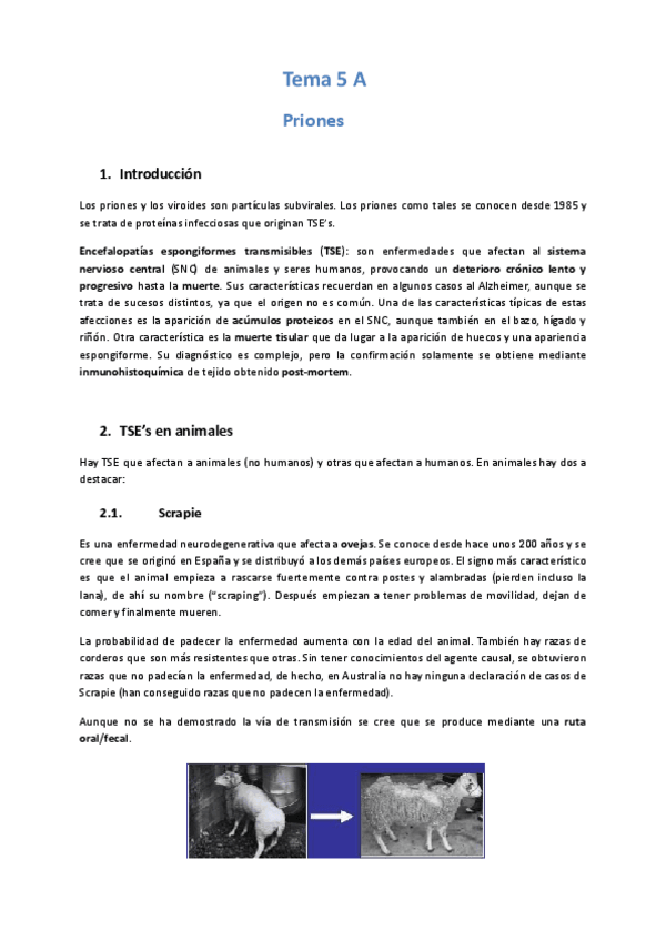Miniatura del documento Tema-5-Virologia.docx.pdf