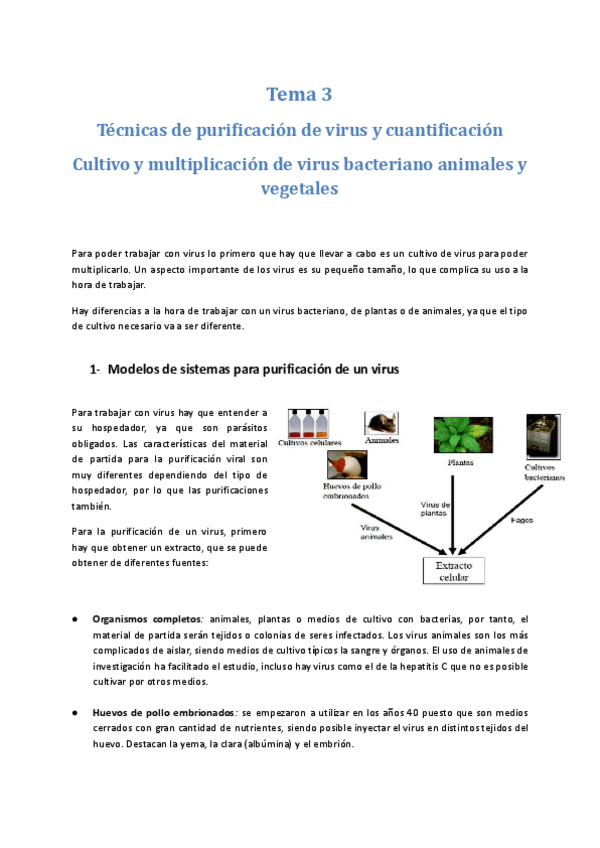 Miniatura del documento Tema-3-Tecnicas-en-virologia.docx.pdf