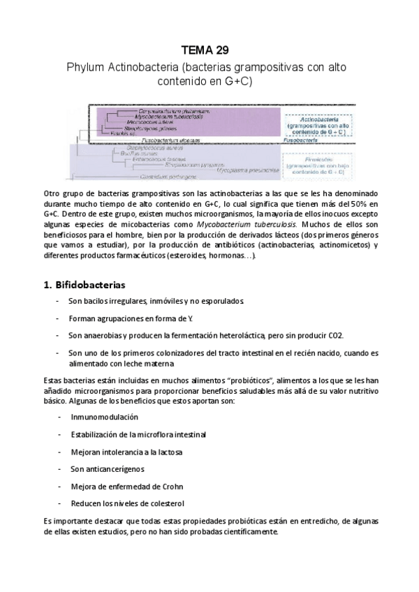 Miniatura del documento TEMA-29.pdf