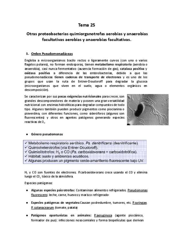 Miniatura del documento Tema-25-Micro.pdf