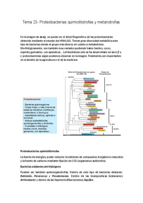 Miniatura del documento Tema-23-Micro.pdf