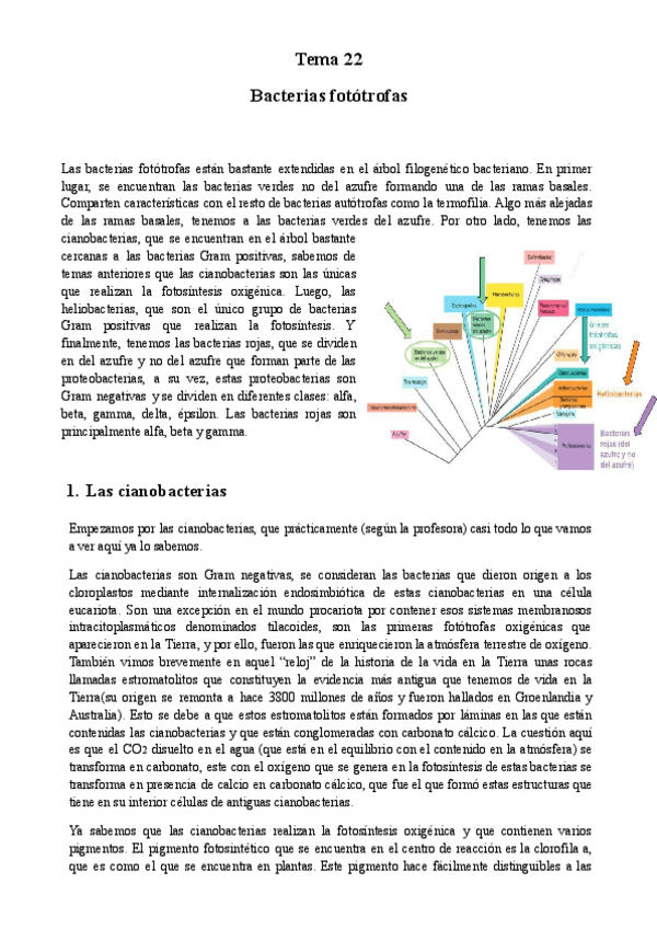 Miniatura del documento Tema-22-Micro.pdf