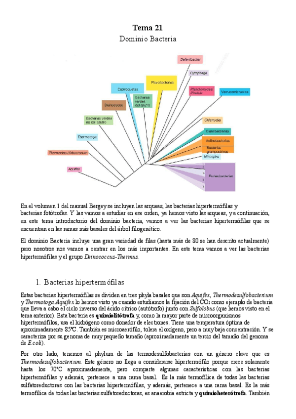 Miniatura del documento Tema-21-Micro.pdf