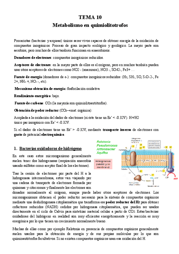 Miniatura del documento TEMA-10-Micro.pdf