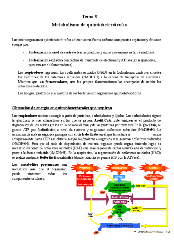 Miniatura del documento TEMA-9-Micro.pdf