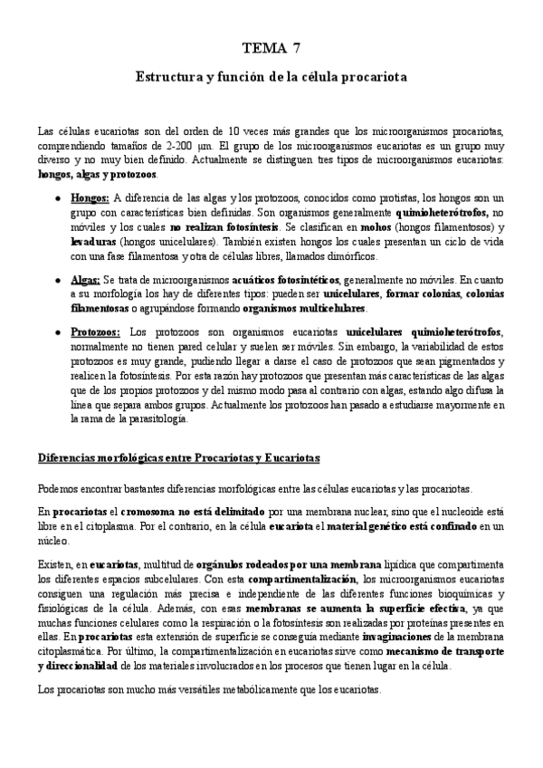 Miniatura del documento TEMA-7.pdf