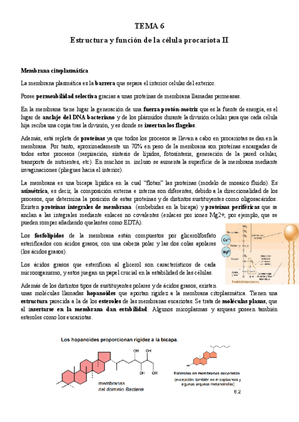 Miniatura del documento TEMA-6-Micro.pdf