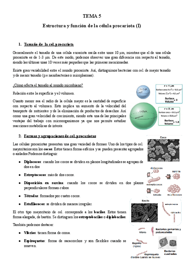 Miniatura del documento TEMA-5-Micro.pdf