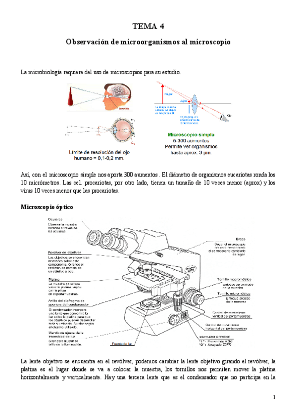 Miniatura del documento TEMA-4-Micro.pdf