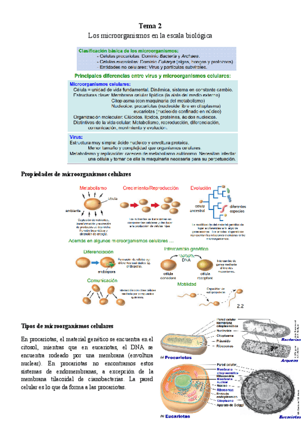 Miniatura del documento Tema-2-Micro.pdf