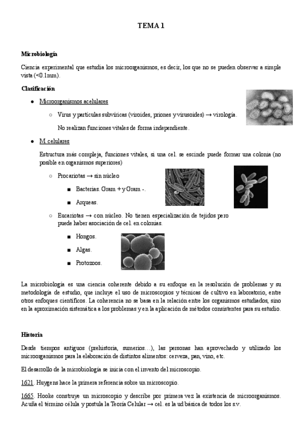 Miniatura del documento Tema-1-Micro.pdf