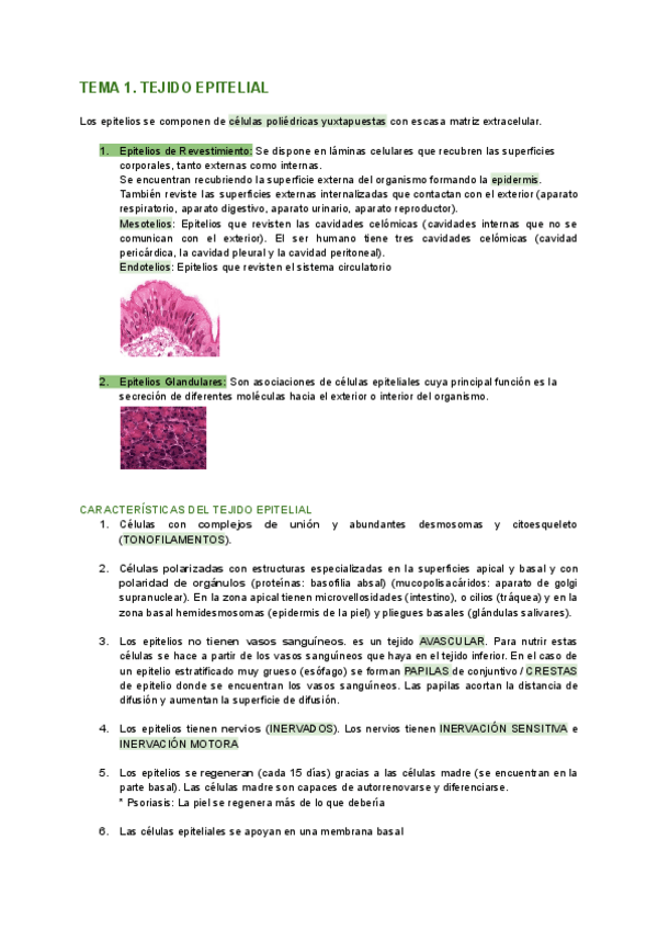 Miniatura del documento Histologia-TEMA-1-tejido-epitelial.pdf
