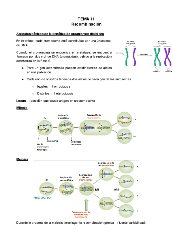 Miniatura del documento TEMA-11.pdf