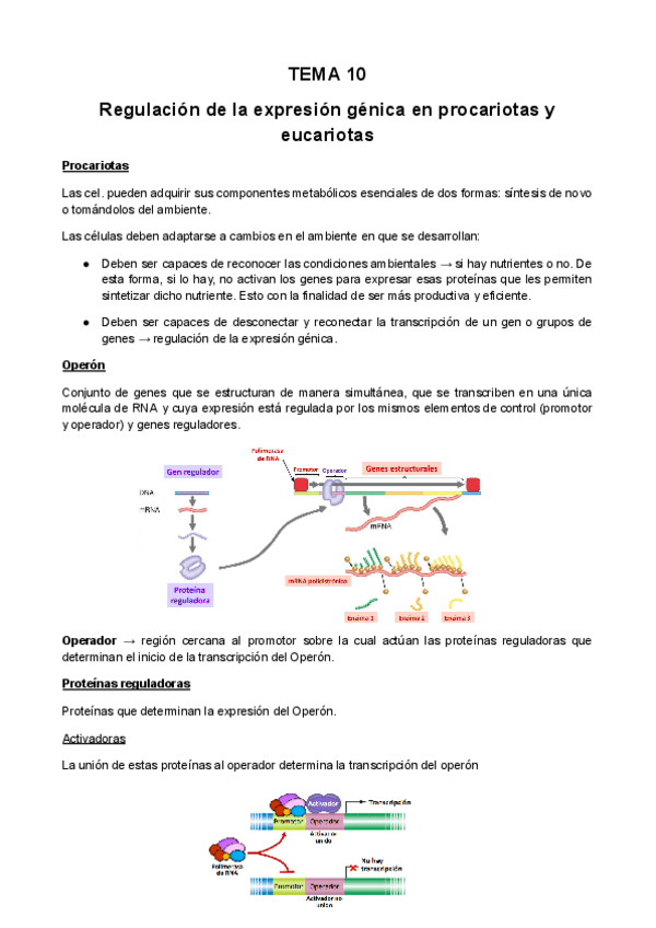 Miniatura del documento TEMA-10.pdf