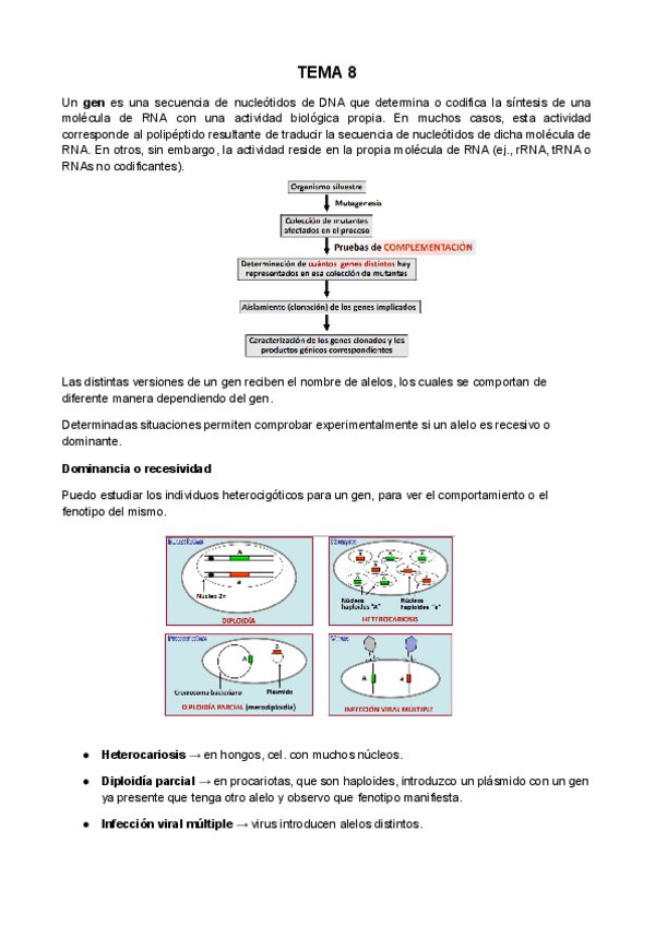 Miniatura del documento TEMA-8.pdf