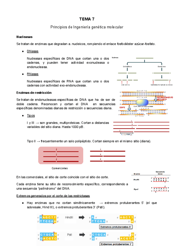 Miniatura del documento TEMA-7.pdf