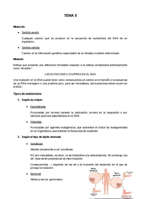 Miniatura del documento TEMA-5.pdf
