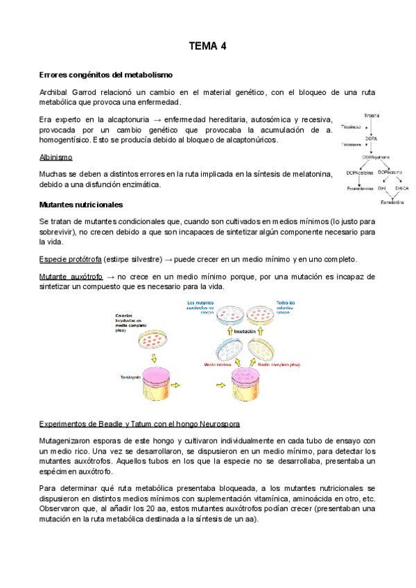 Miniatura del documento TEMA-4.pdf