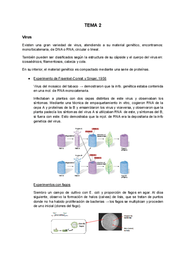 Miniatura del documento TEMA-2.pdf