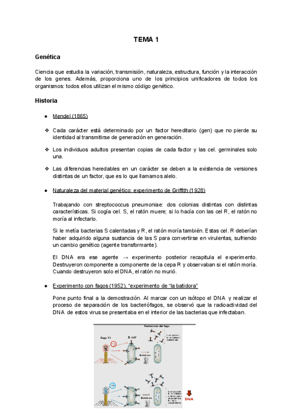 Miniatura del documento Tema-1.pdf