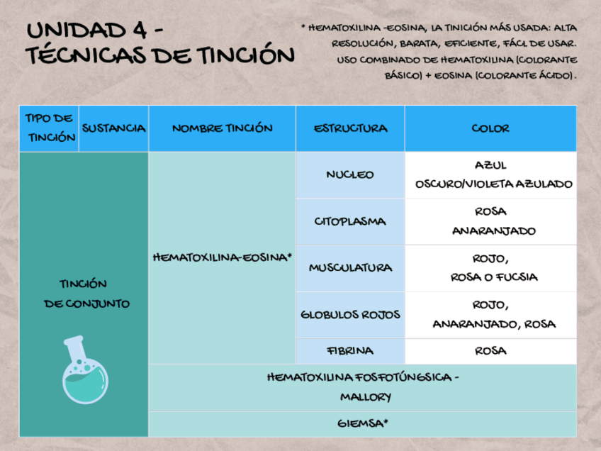 Miniatura del documento CUADRO-TINCIONES-POR-TEJIDOS.pdf