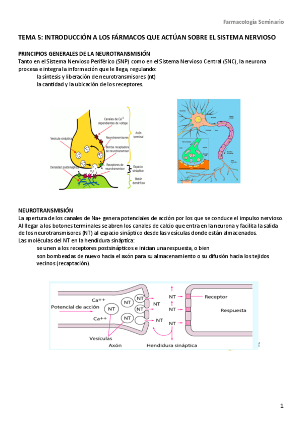 Miniatura del documento tema-5-seminario-farma.pdf