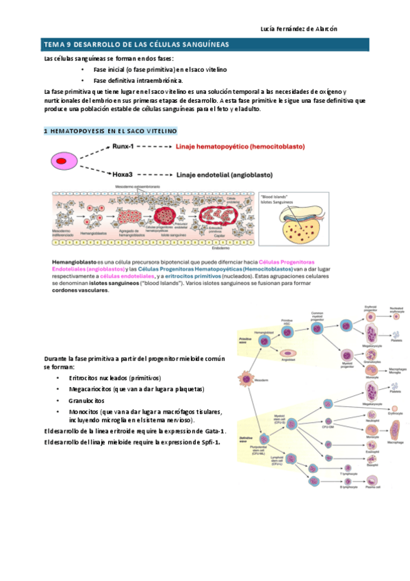 Miniatura del documento tema-9-RESCAR.pdf