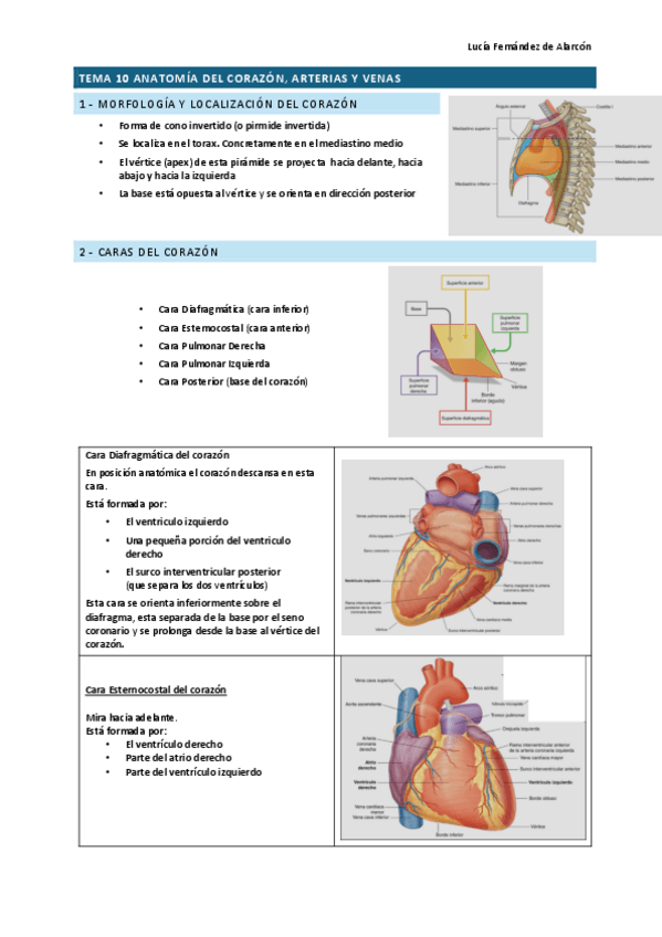 Miniatura del documento Tema-10-RESCAR.pdf