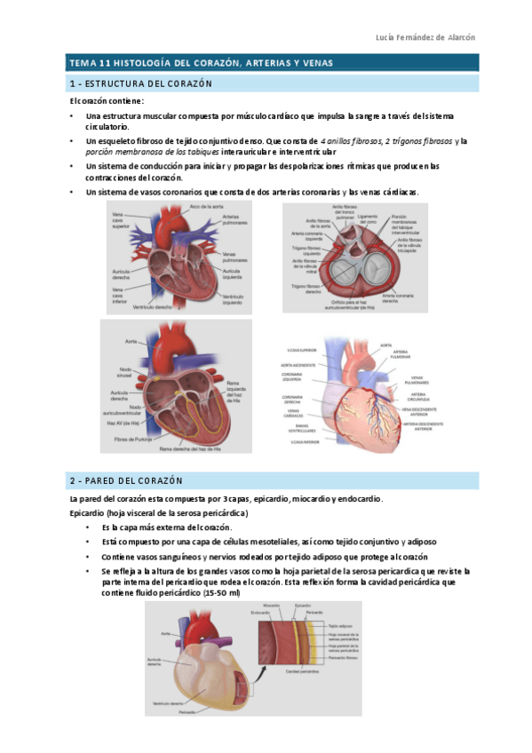 Miniatura del documento Tema-11-RESCAR.pdf