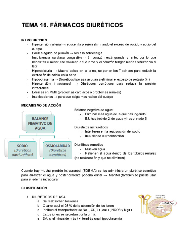Miniatura del documento TEMA-16-FARMACOS-DIURETICOS-2425.pdf