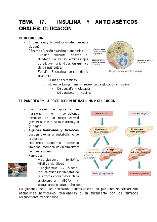 Miniatura del documento TEMA-17-INSULINA-Y-ANTIDIABETICOS-ORALES.-GLUCAGON-2425.pdf