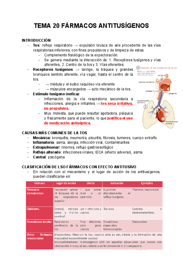 Miniatura del documento TEMA-20-FARMACOS-ANTITUSIGENOS-2425.pdf