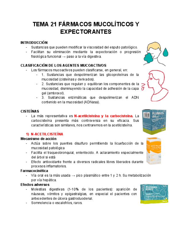 Miniatura del documento TEMA-21-FARMACOS-MUCOLITICOS-Y-ESPECTORANTES-2425.pdf