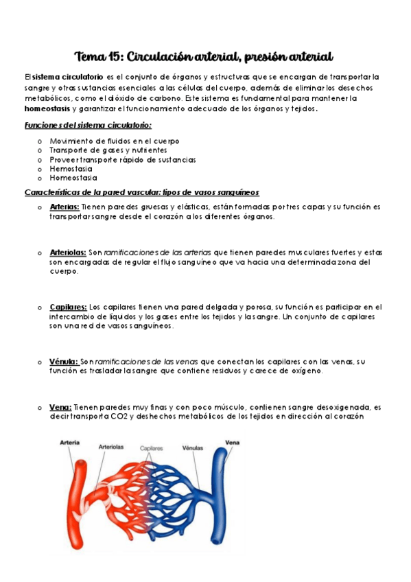 Miniatura del documento Circulacion-arterial-presion-arterial.pdf